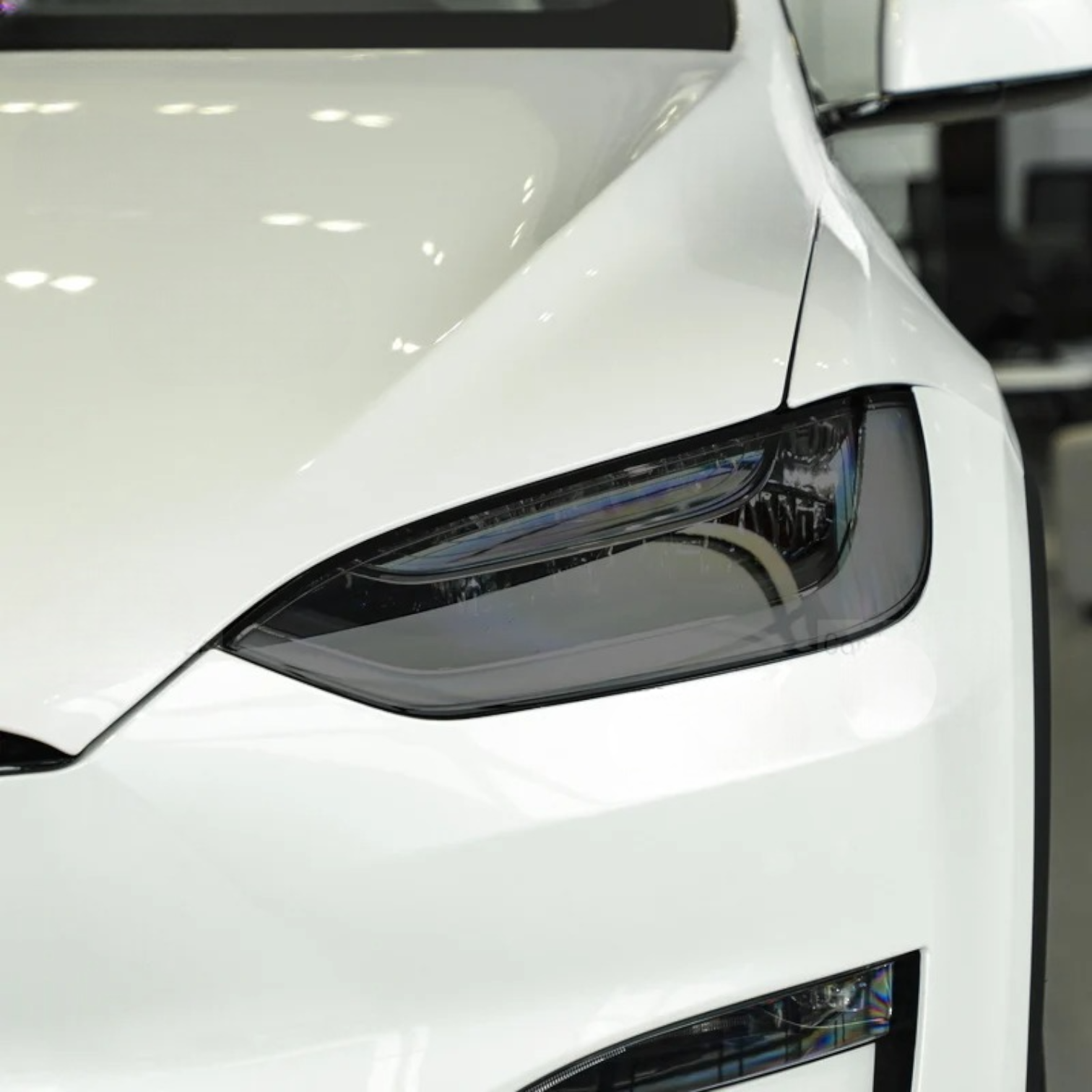 Protective film for front lights for TESLA MODEL 3/Y/S/X - ProTesla